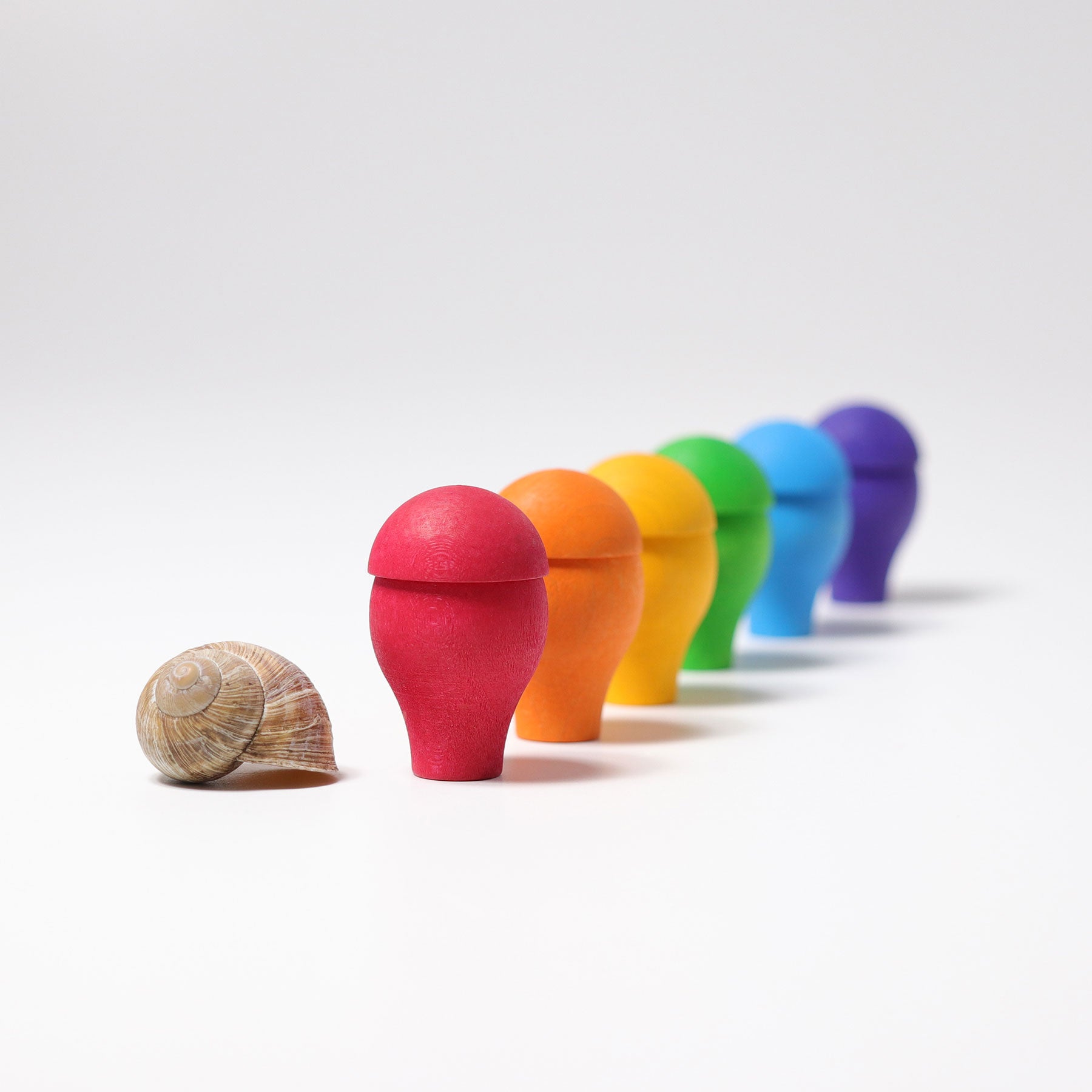 Regenbogen Pilze