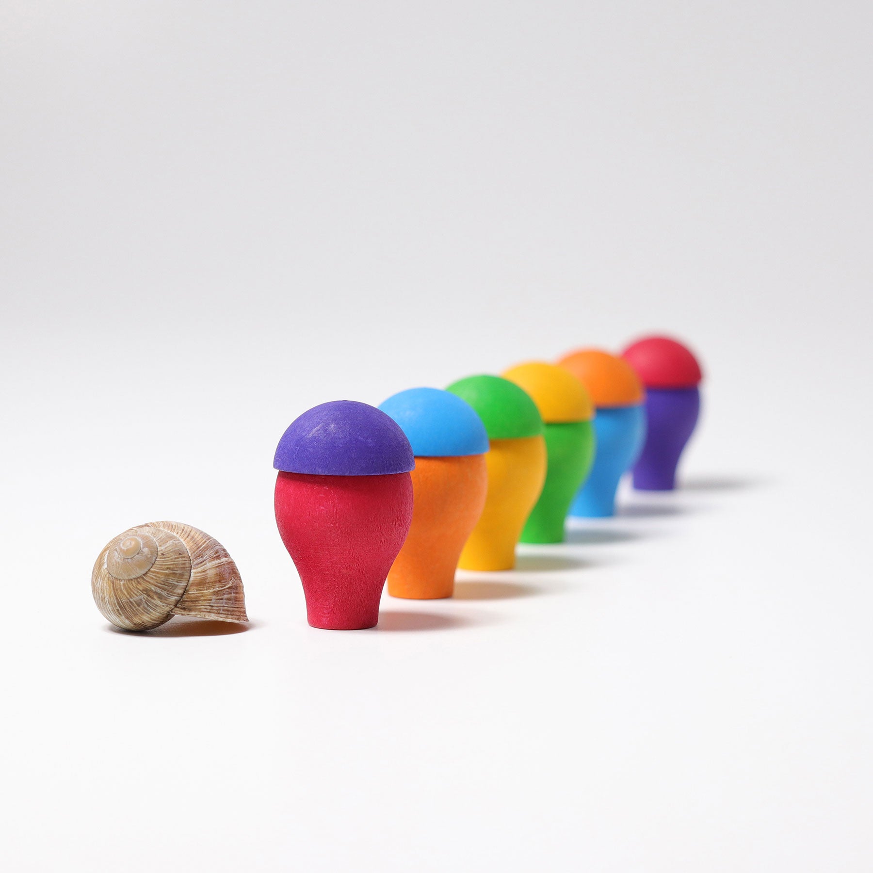 Regenbogen Pilze